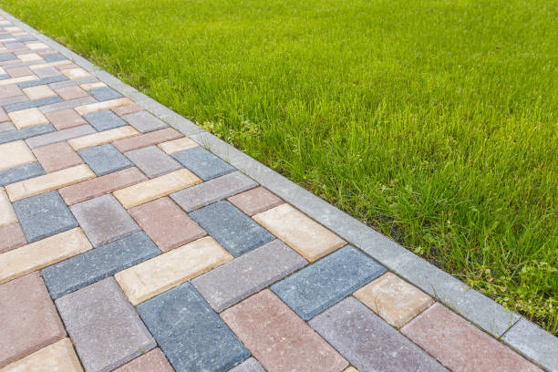 Best Driveway Paving Contractor  in St Clair Shores, MI